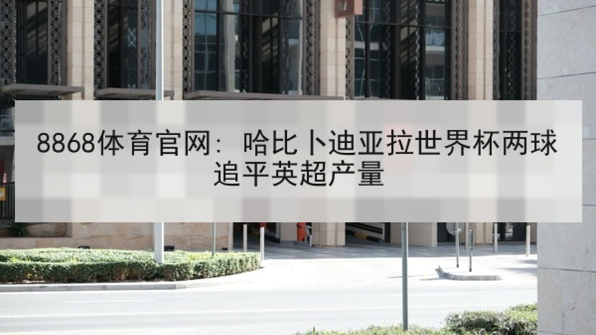 8868体育官网: 哈比卜迪亚拉世界杯两球追平英超产量