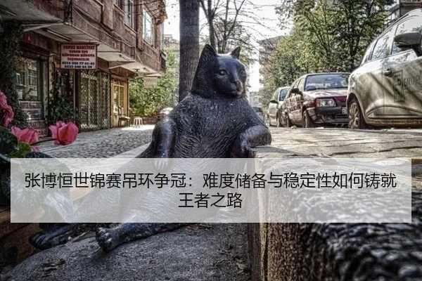 zhang-bo-heng-shi-jin-sai-diao-huan-zheng-guan-nan-du-chu-bei-yu-wen-ding-xing-ru-he-zhu-jiu-wang-zhe-zhi-lu-3-620.jpg